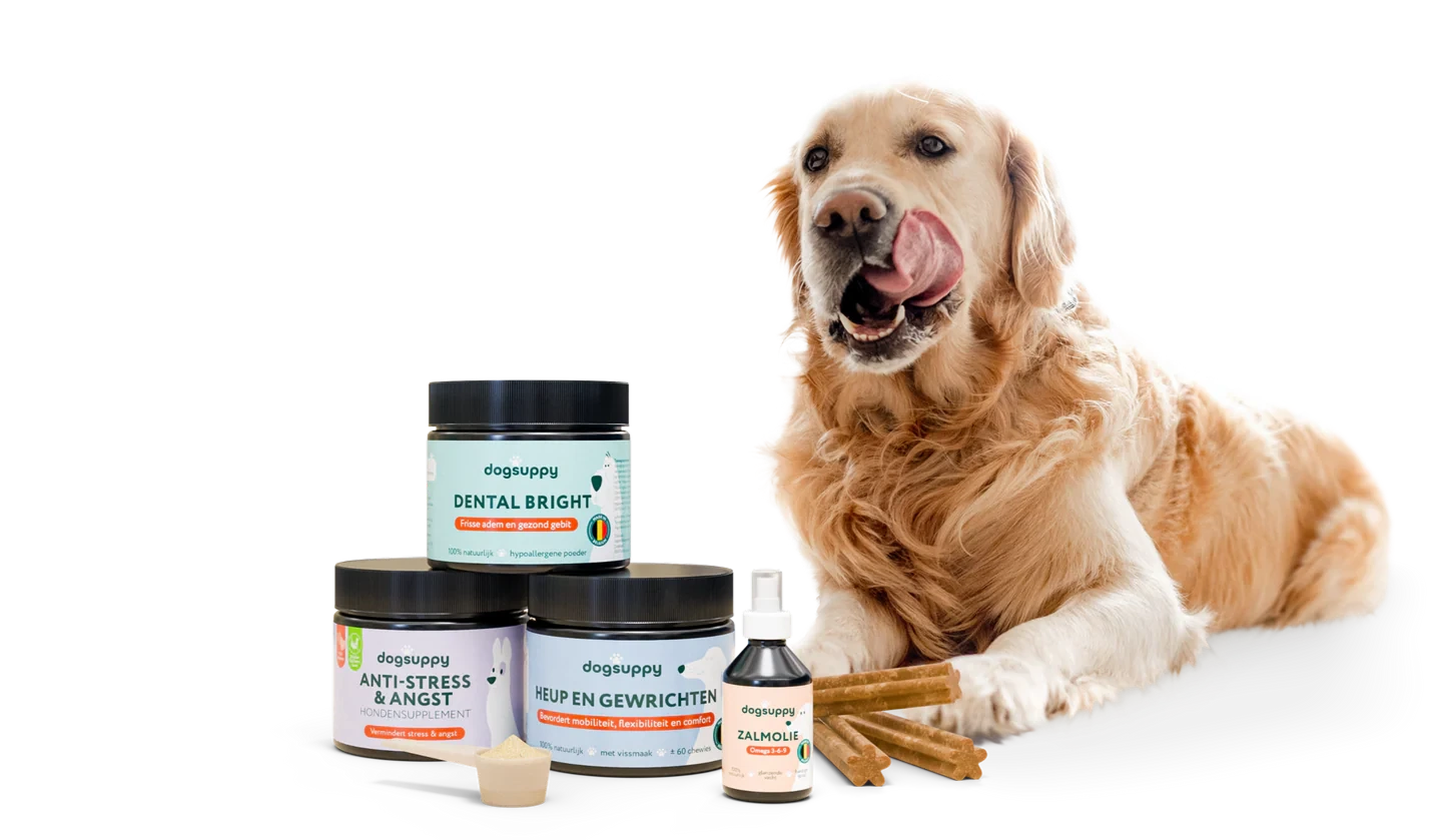Optimale Darmgezondheid voor Jouw Hond