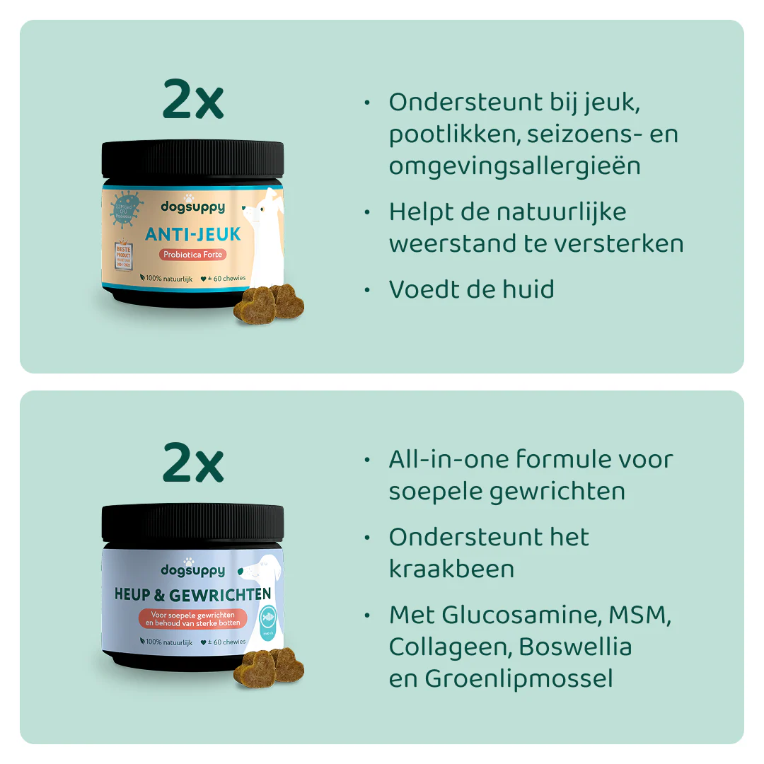 Miniatuur 2