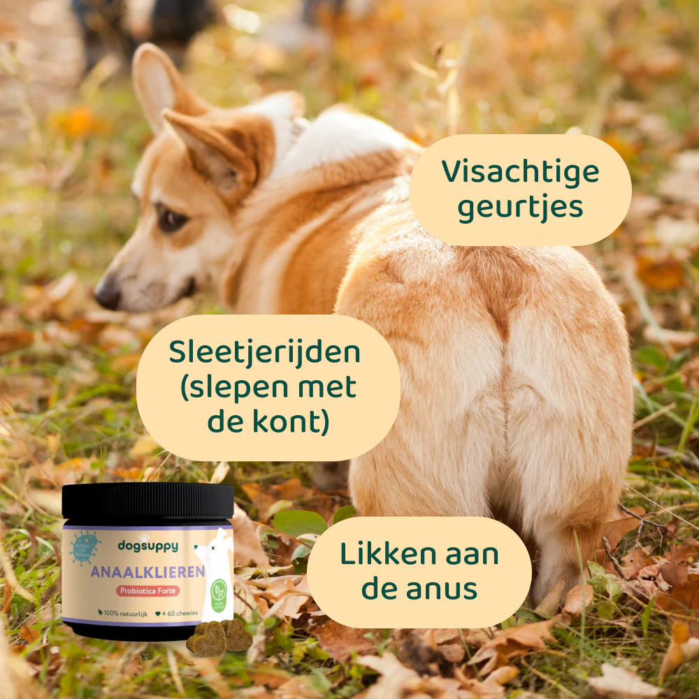 Productafbeelding 6