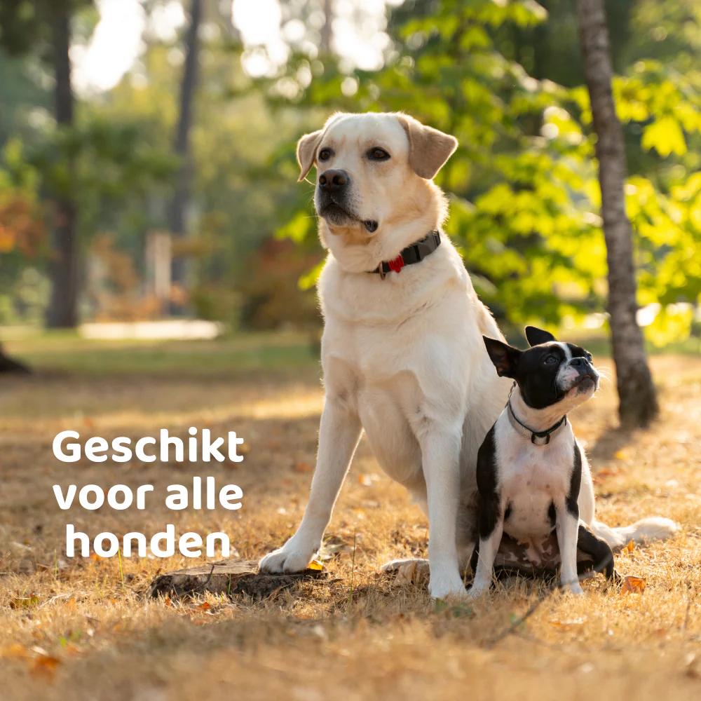 Productafbeelding 6