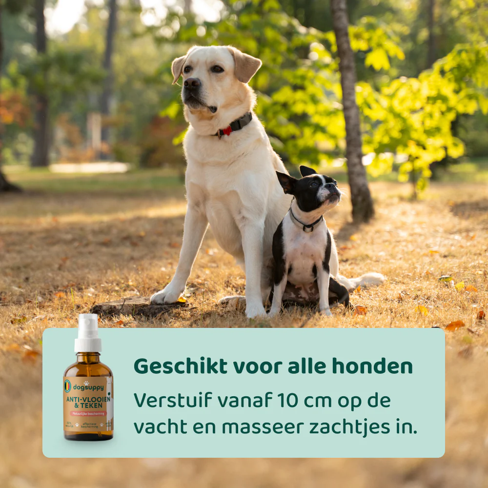 Productafbeelding 5