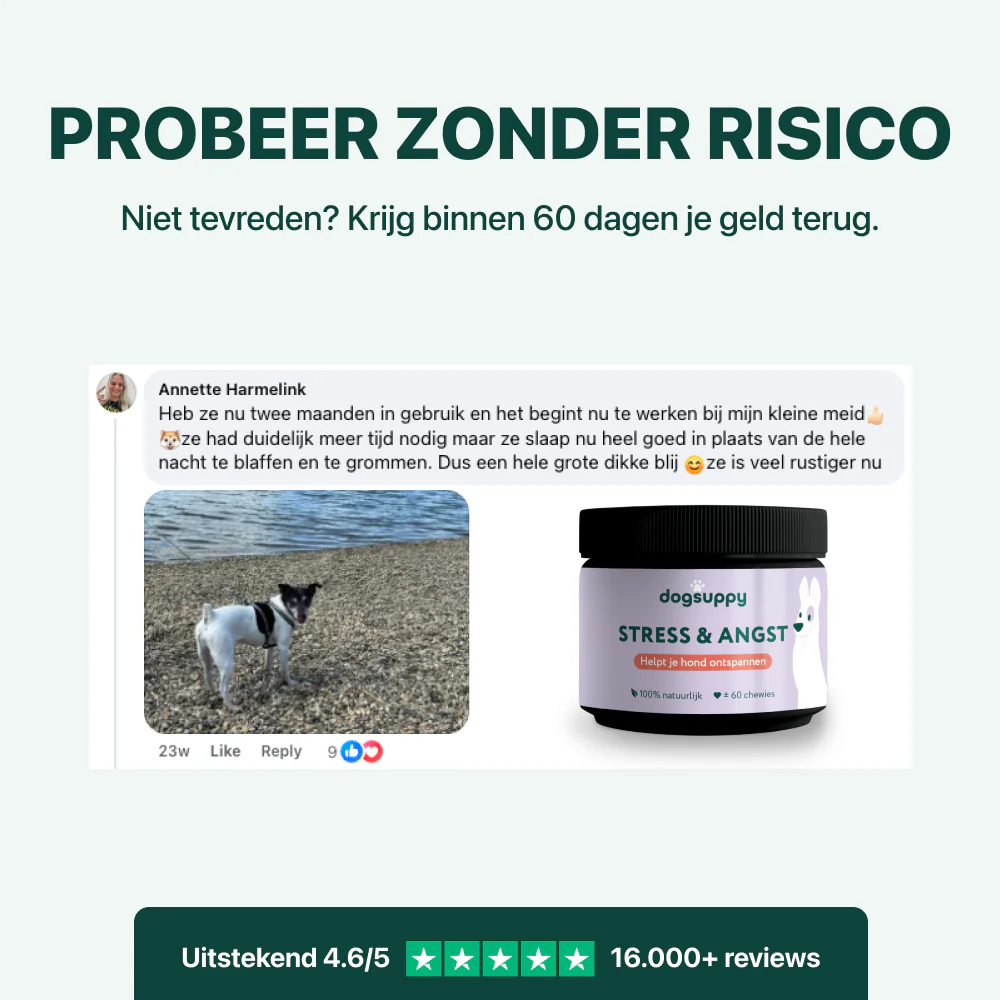 Productafbeelding 6