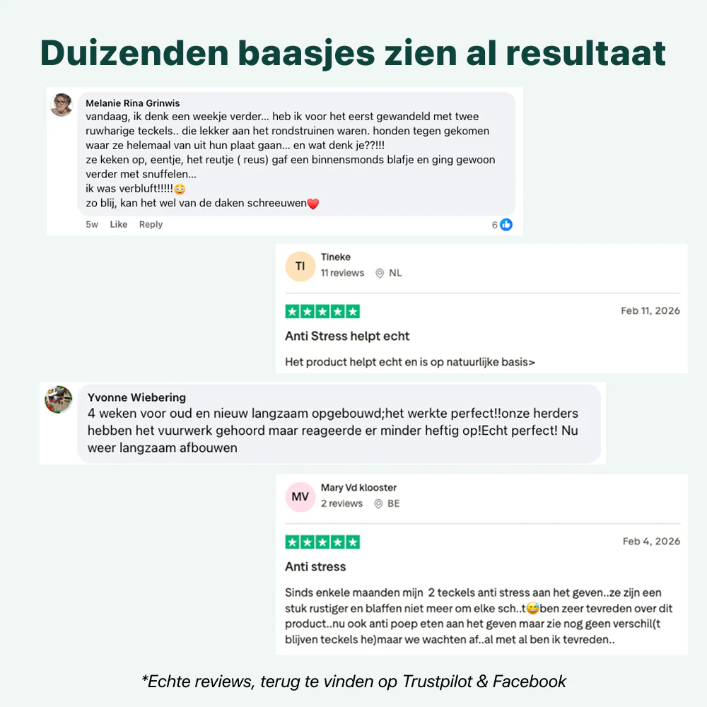 Productafbeelding 7