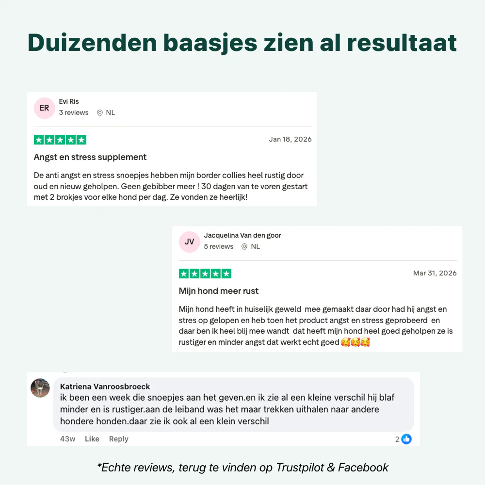 Productafbeelding 9