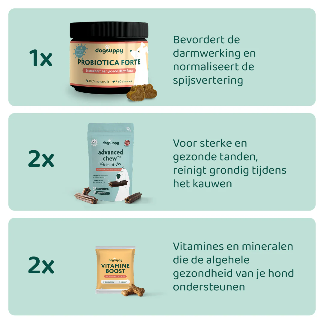 Miniatuur 2