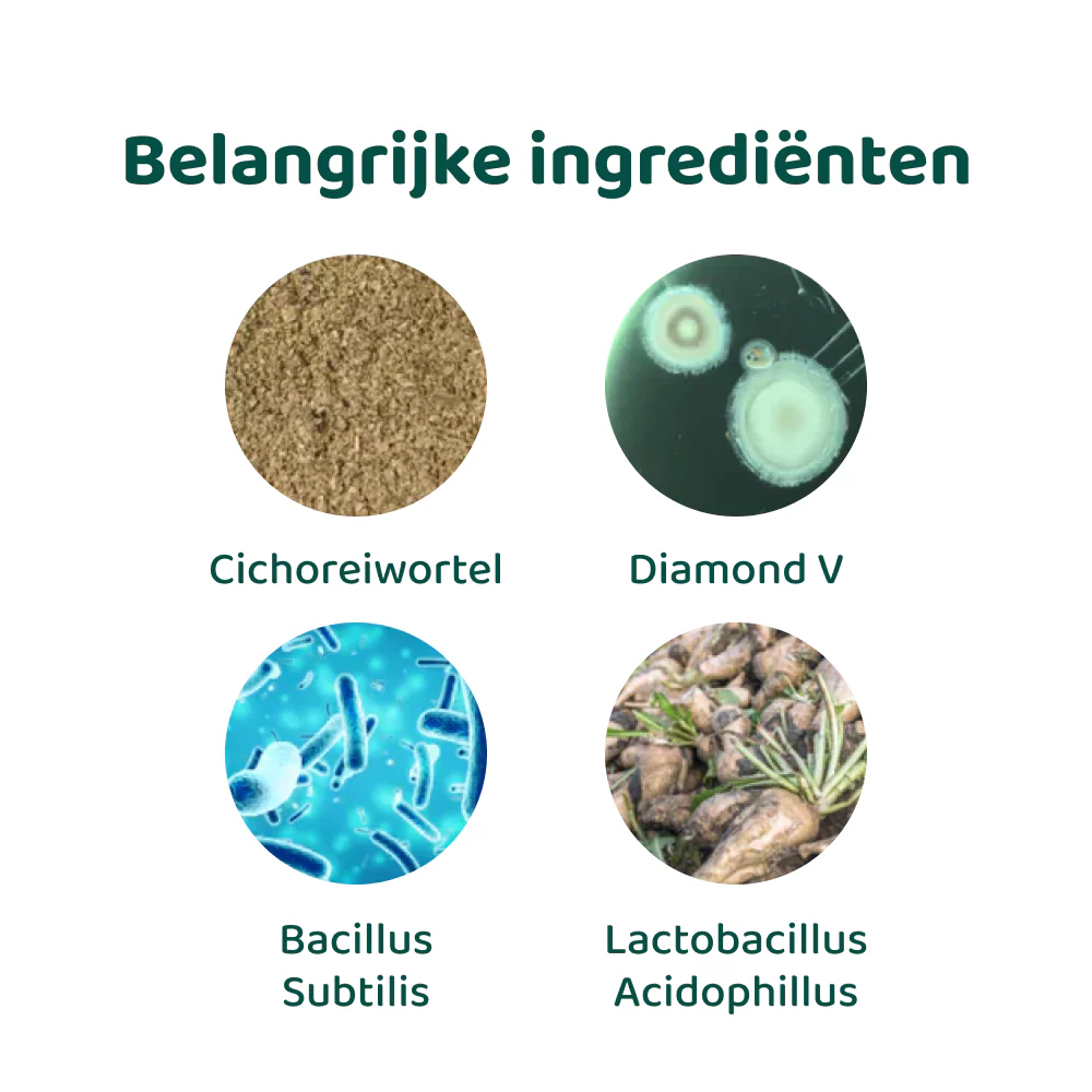 Productafbeelding 5