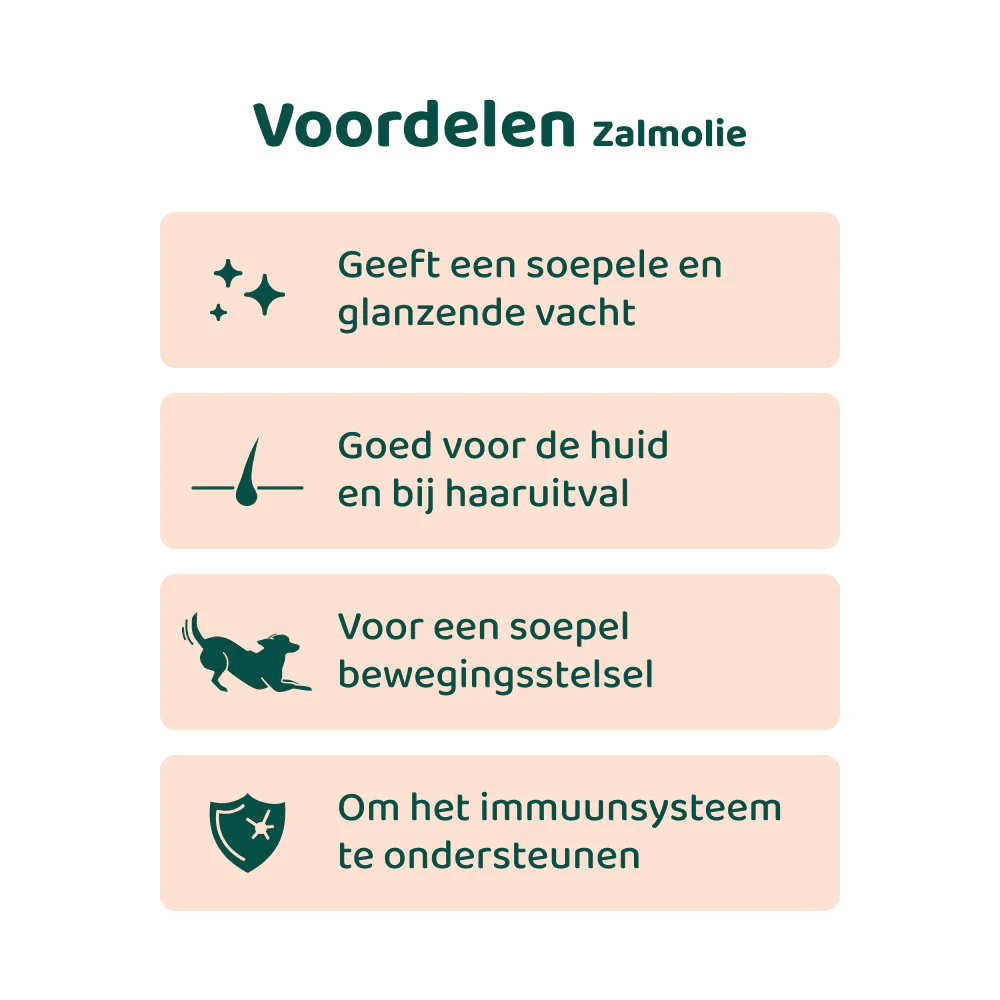 Productafbeelding 6