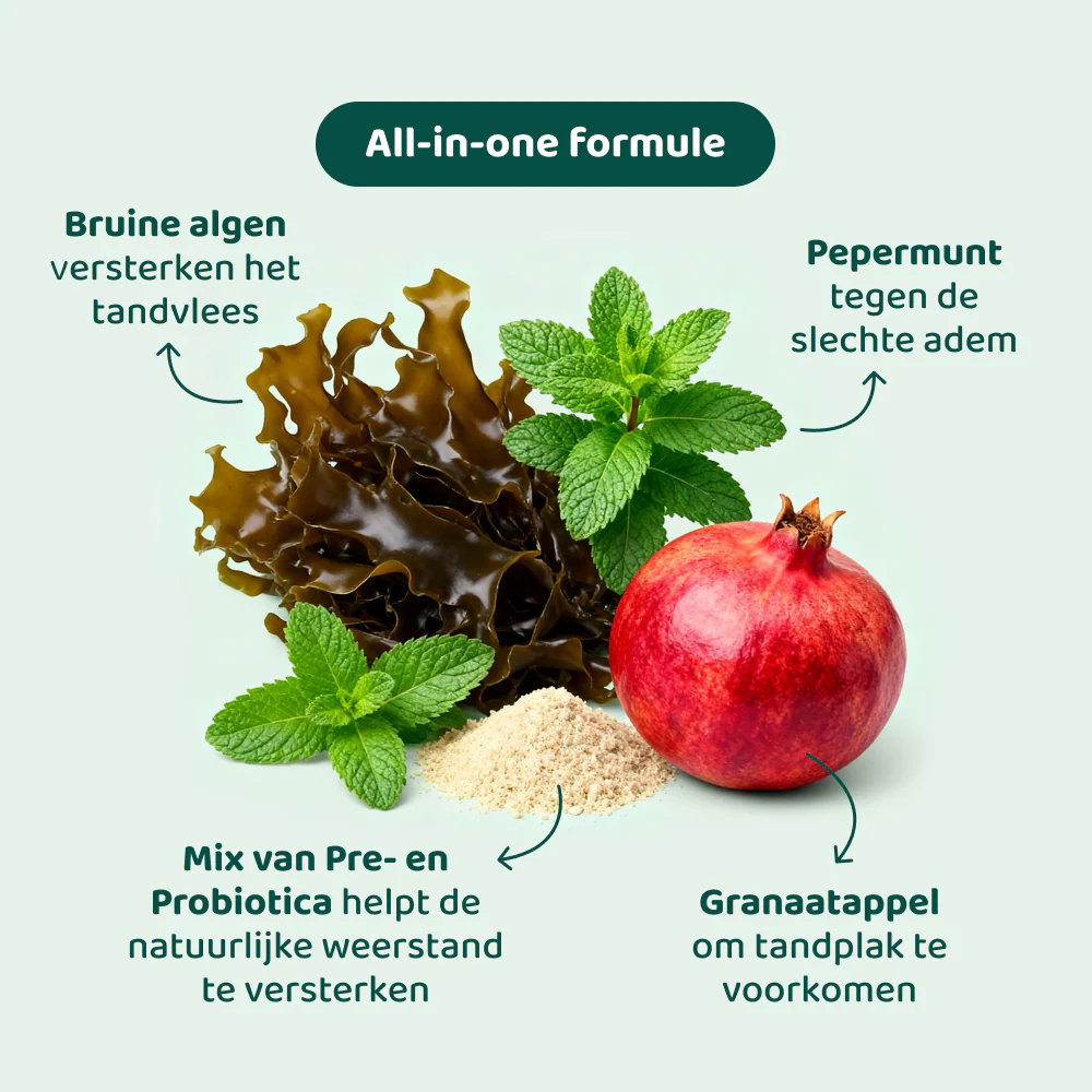 Productafbeelding 5