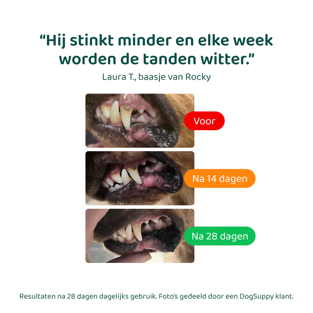 Productafbeelding 7