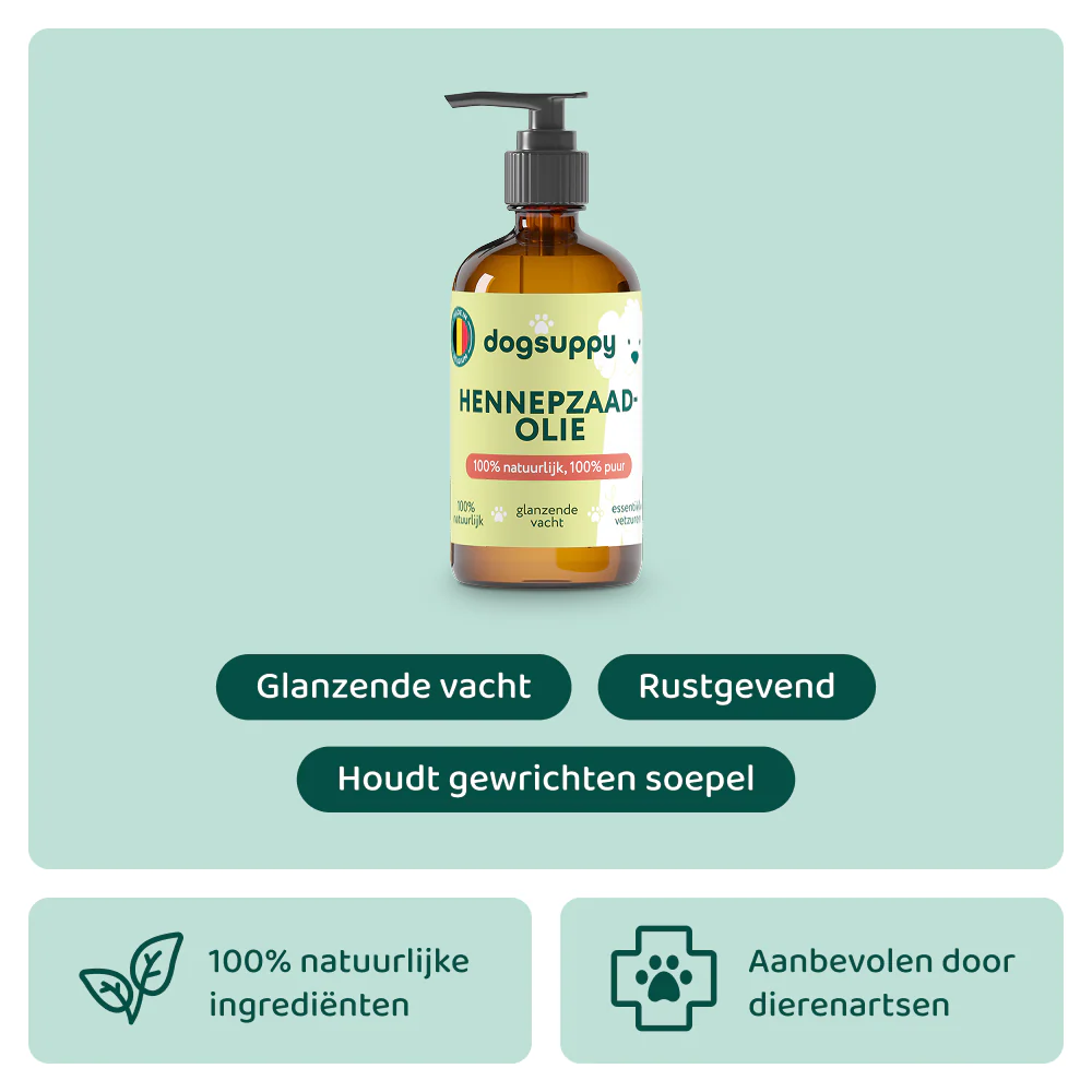 Stress & Gedrag