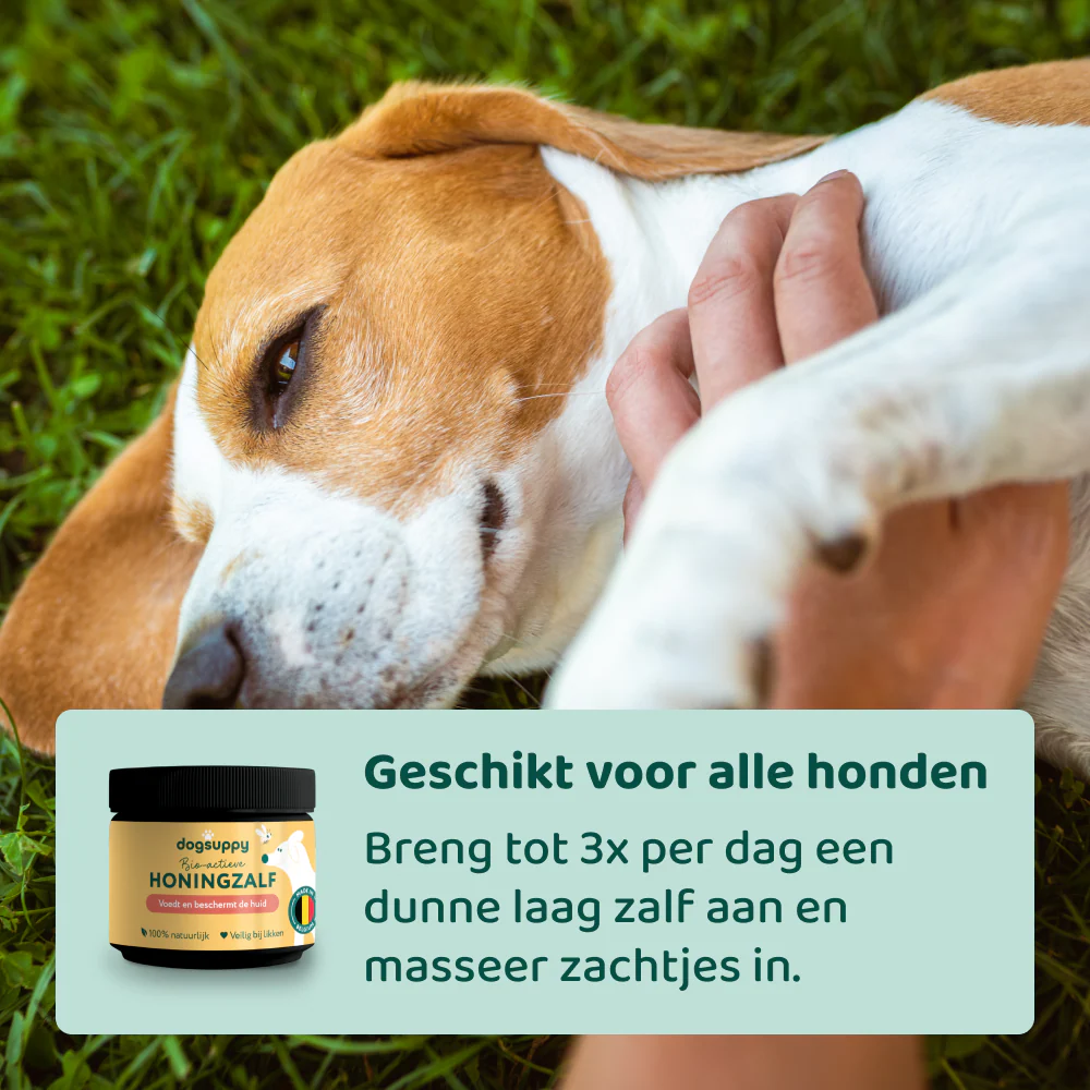 Productafbeelding 5