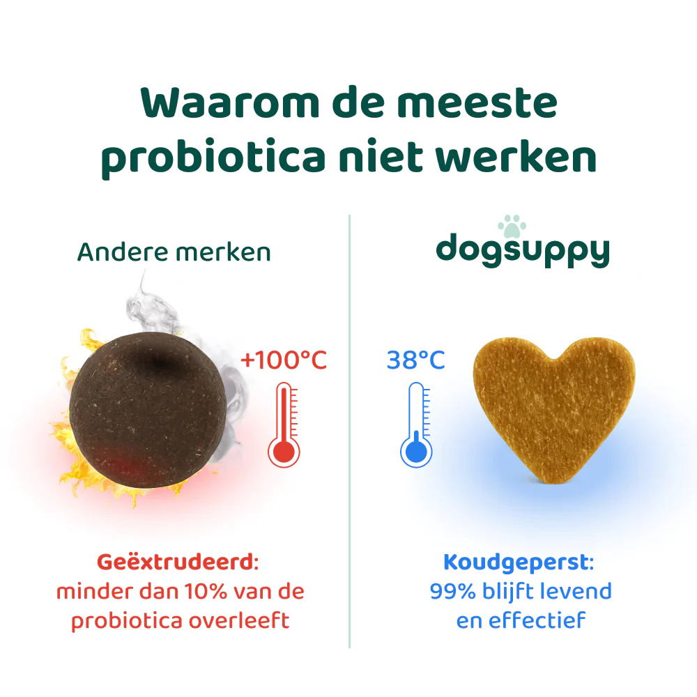 Productafbeelding 10