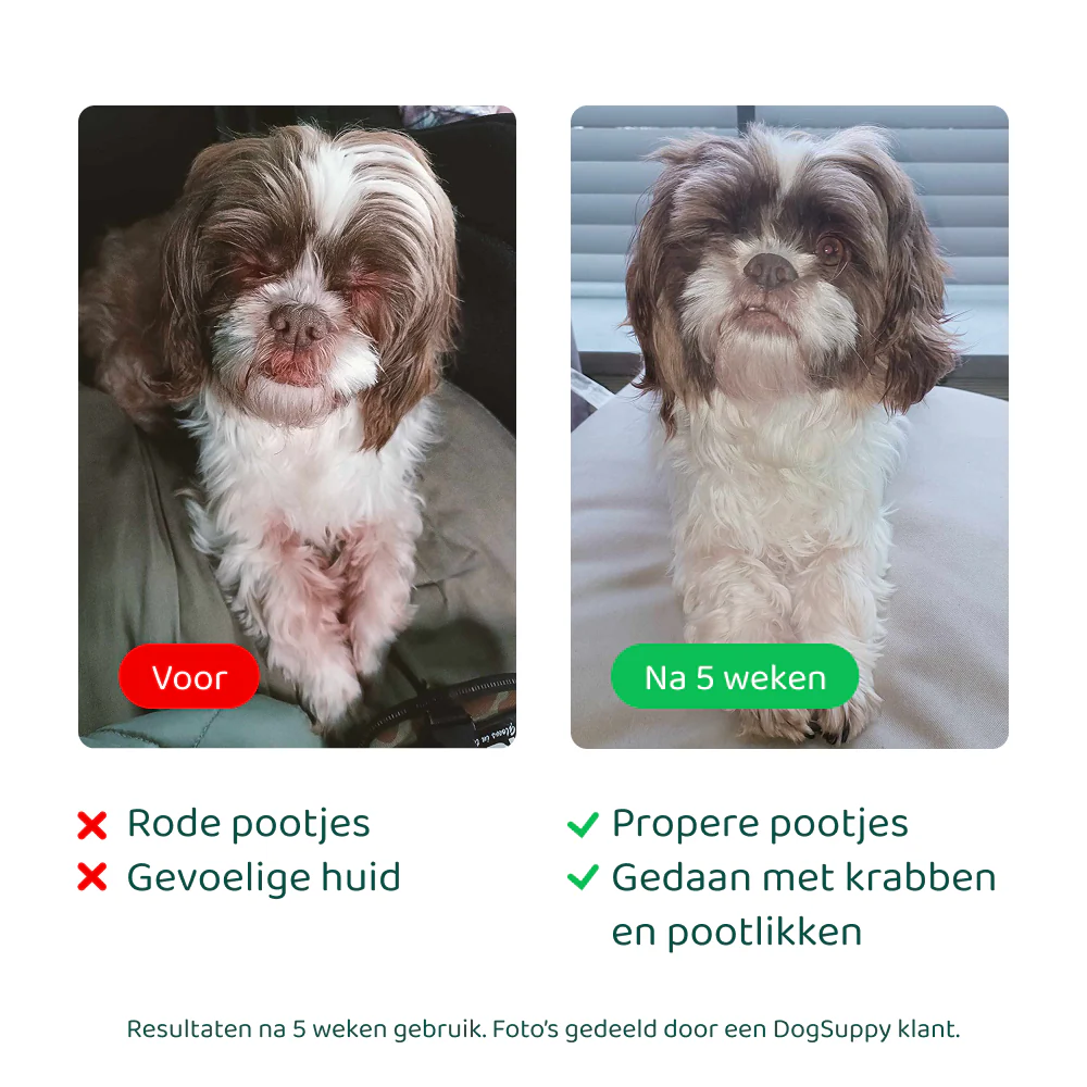Productafbeelding 5