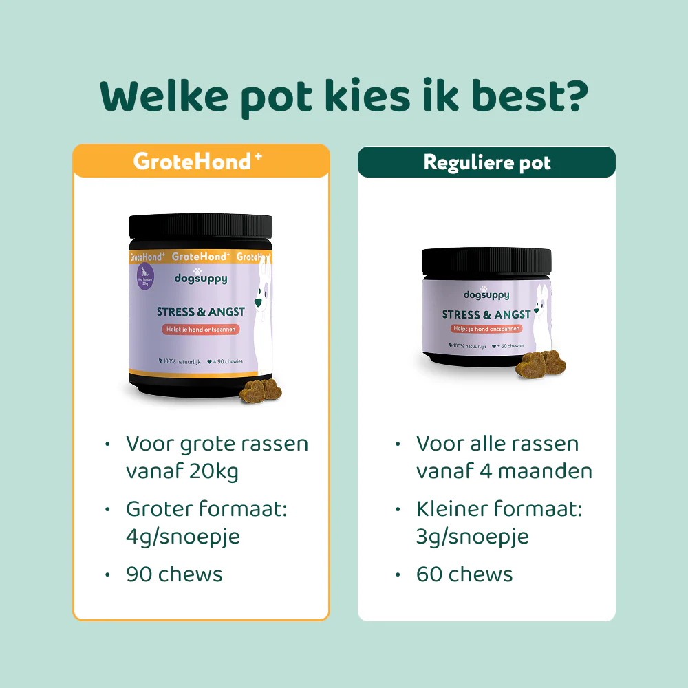 Productafbeelding 13