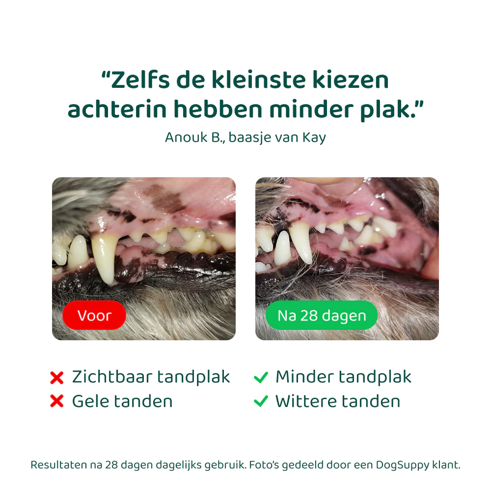 Productafbeelding 5