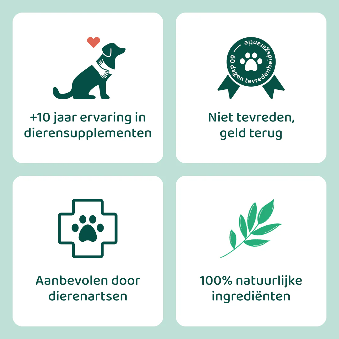 Productafbeelding 5